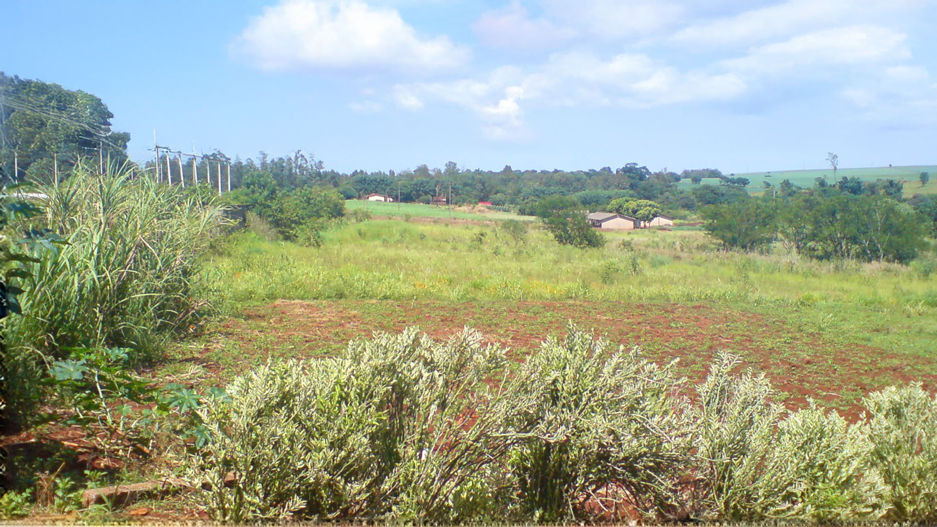 Terreno Monte Carmelo_4