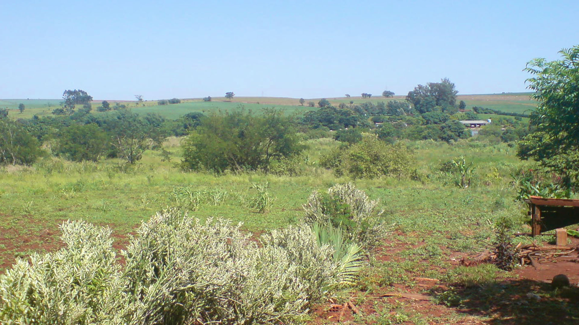 Terreno Monte Carmelo_5